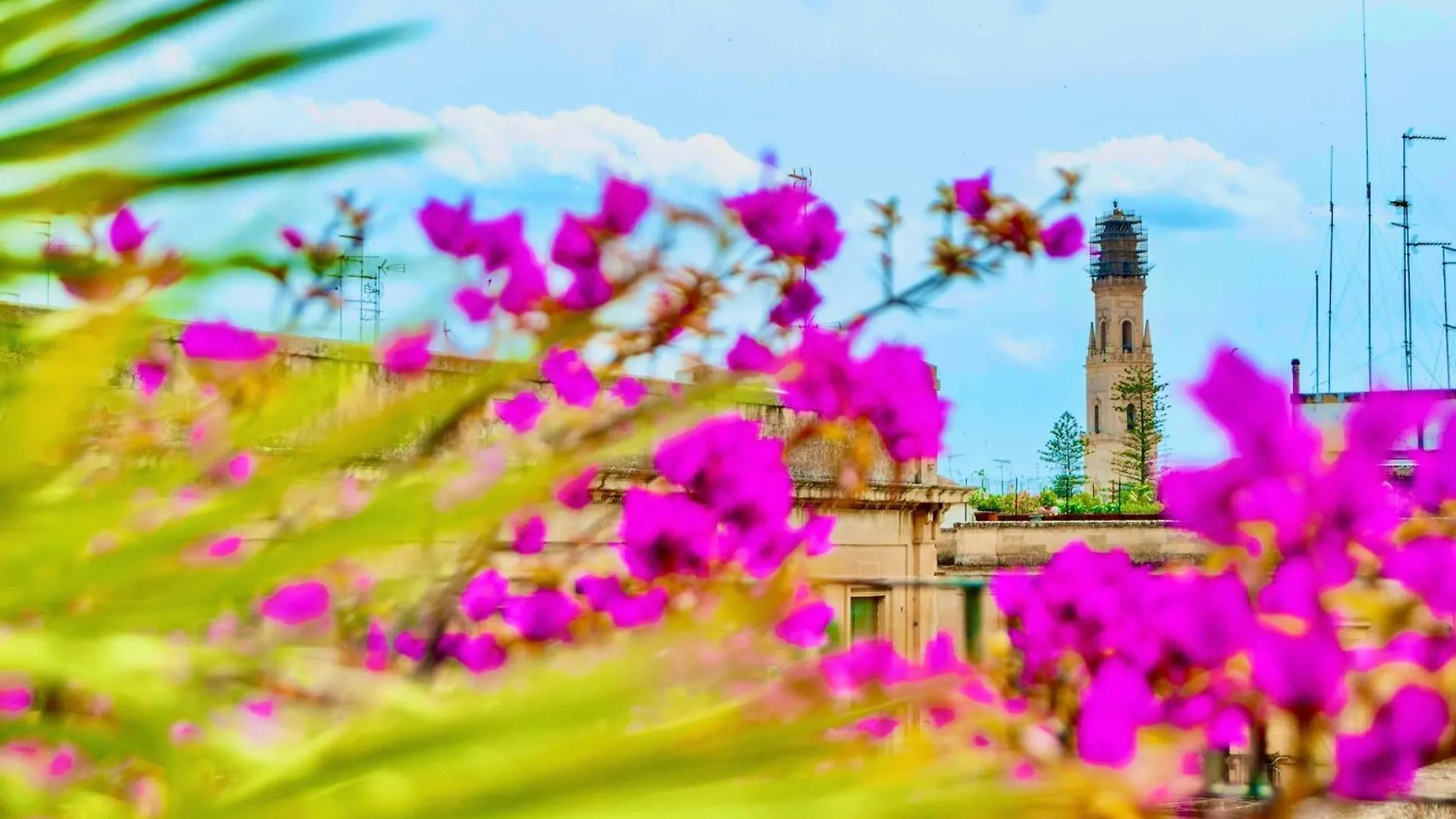 B&B Toma Street Lecce Bed & Breakfast