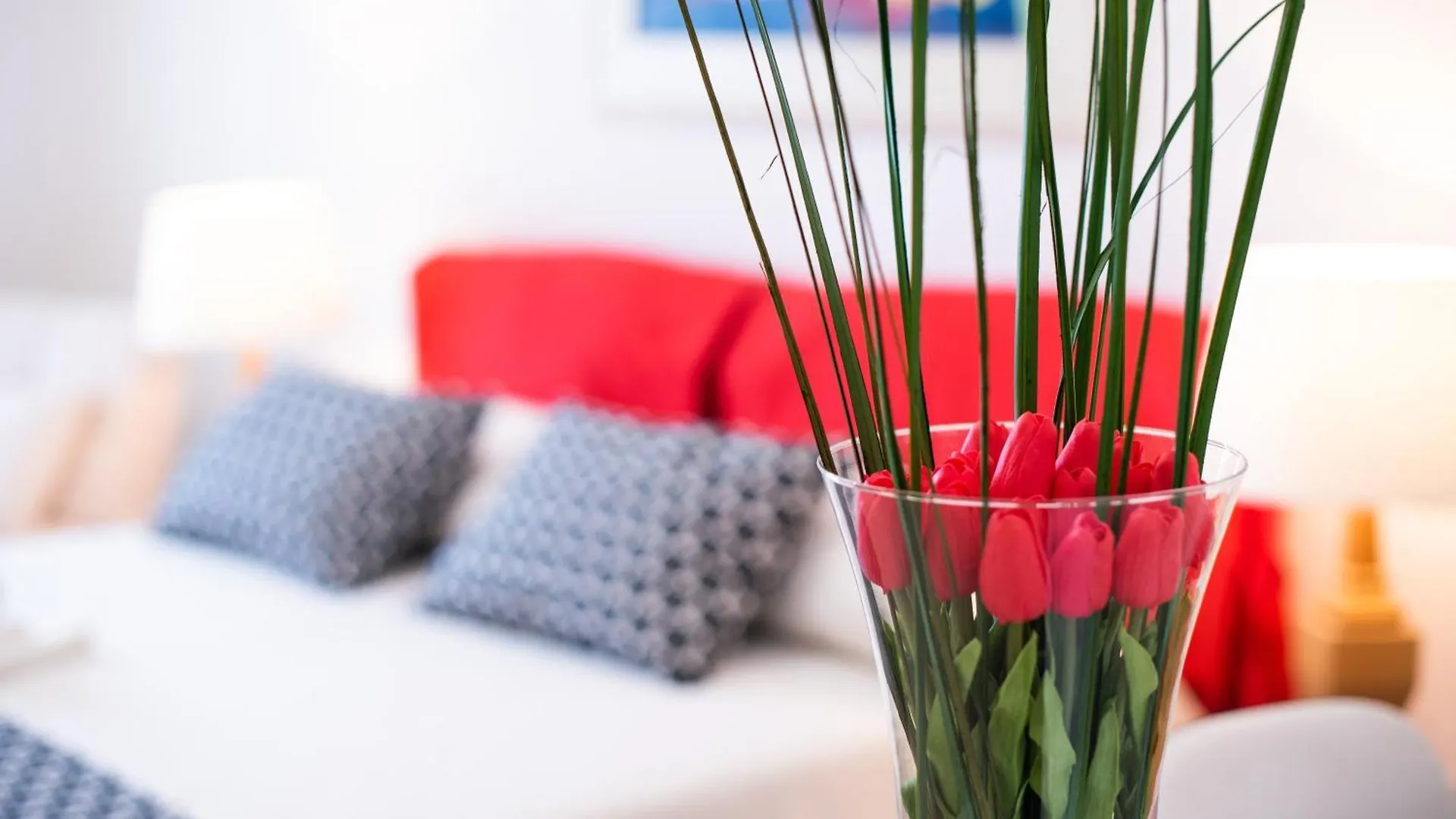 B&B Toma Street Lecce